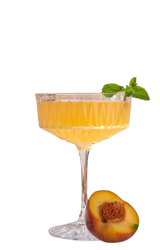 wmremove-transformed-removebg-preview